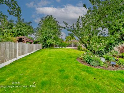 Picture 44